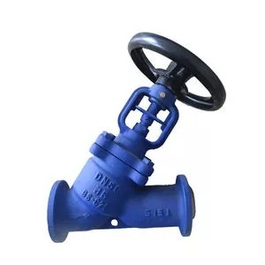 Bellow Seal Y Type Globe Valve