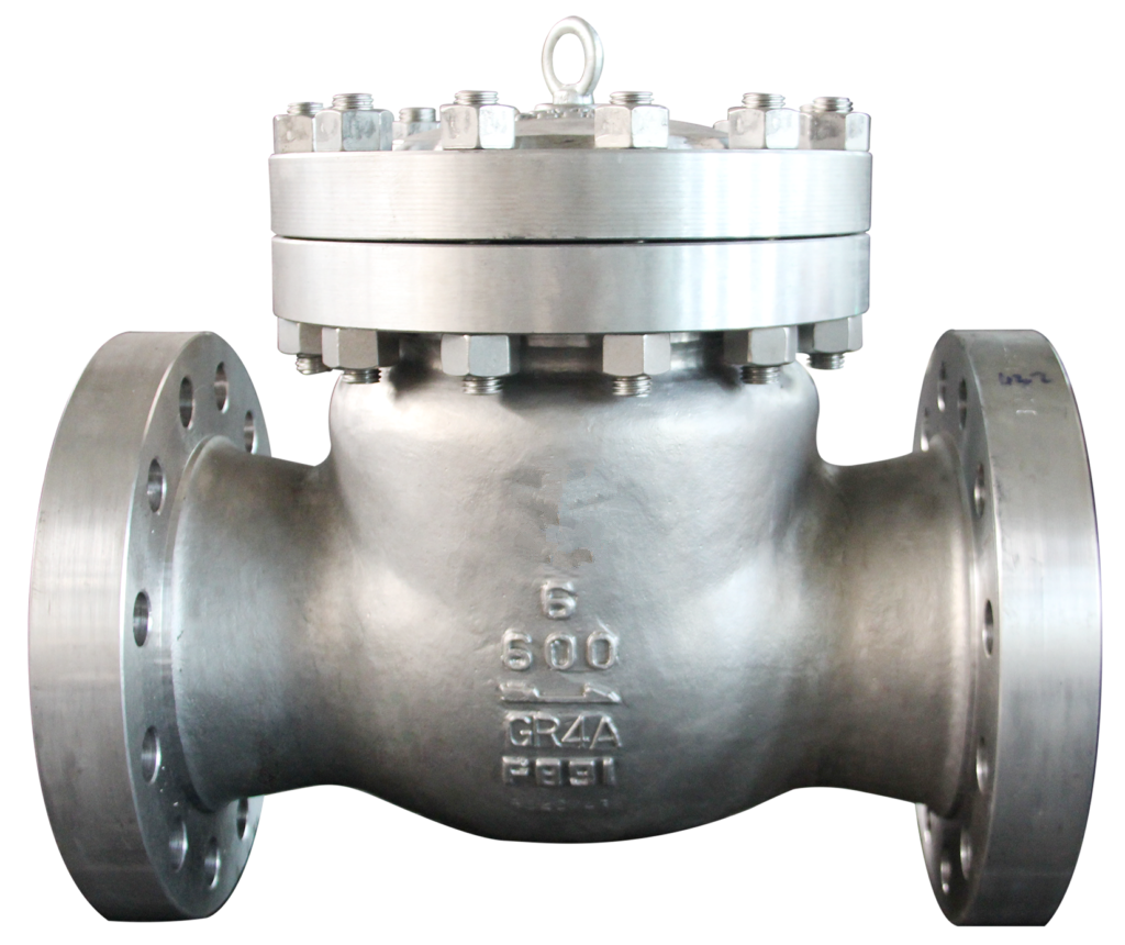 Cryogenic Check Valve