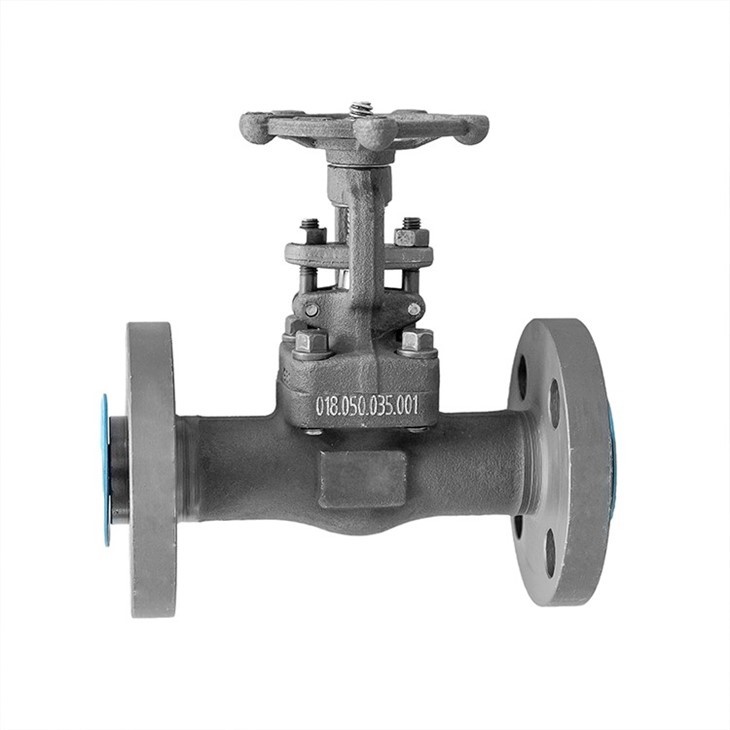 Cryogenic Forged Gate Valve Class 600 Integral Flange