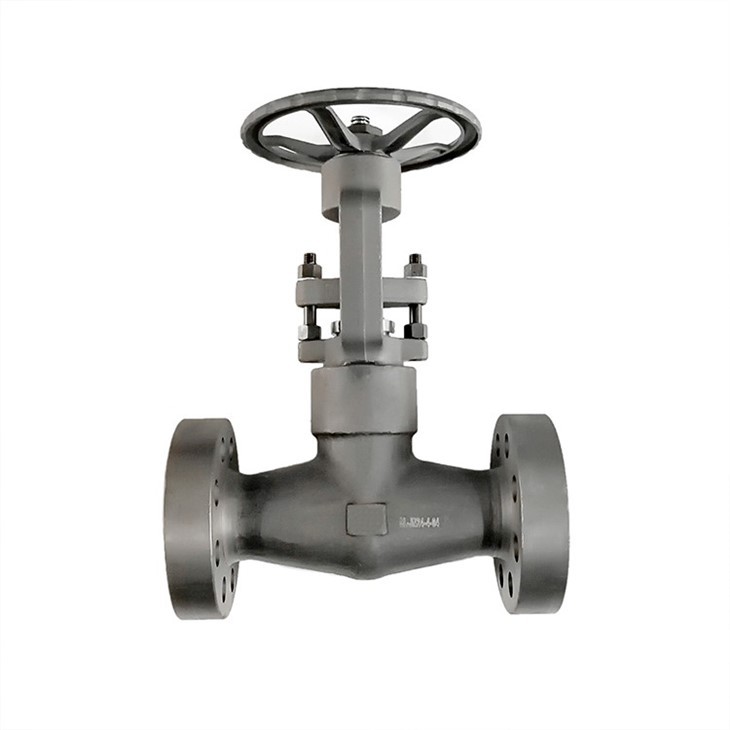 Cryogenic Pressure Seal Integral Flange Gate Valve