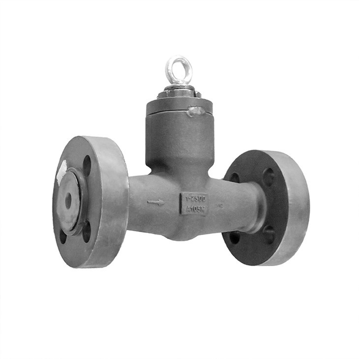 Flanged Pressure Seal Check Valves