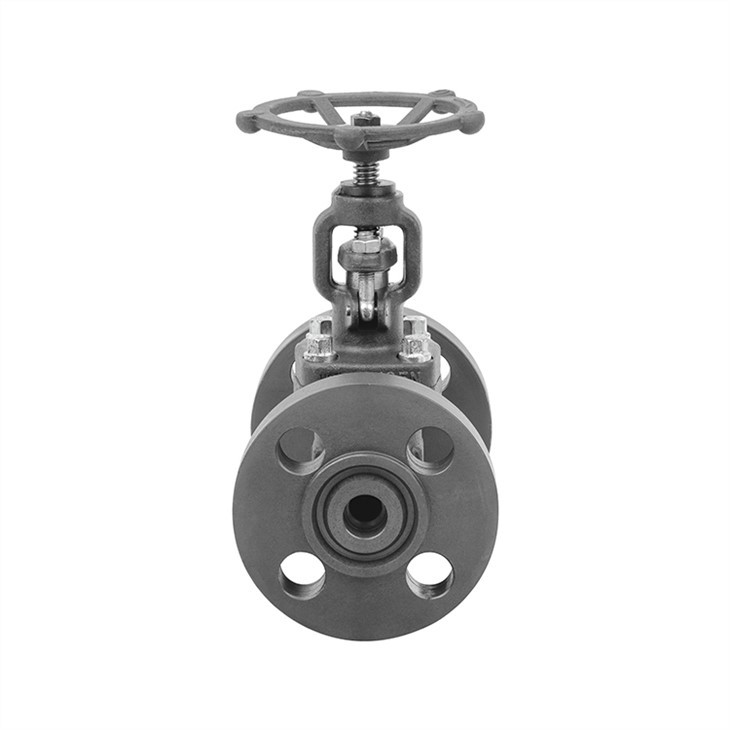 Forged A105 Integral Flanged Globe Valve