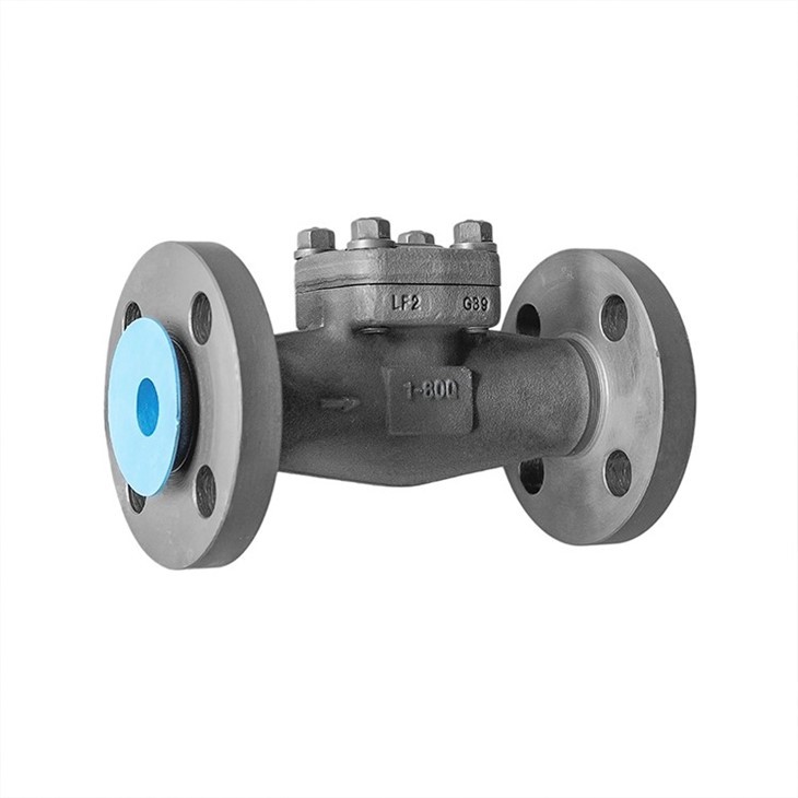 Forged Check Valve Integral Flange