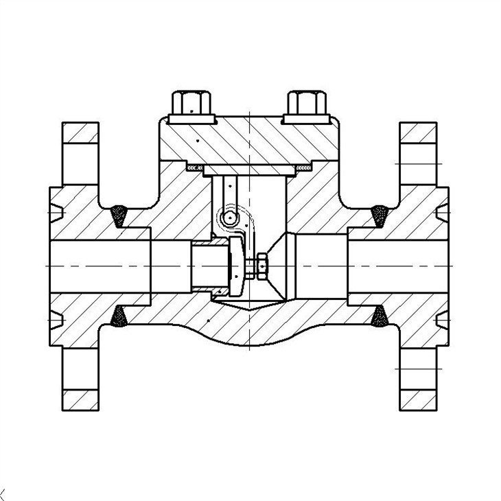 Forged Check Valve Integral Flange