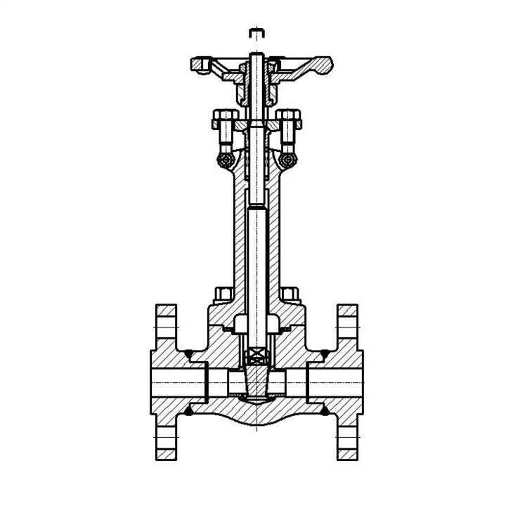 Forged Cryogenic Extended Bonnet Flanged Gate Valves