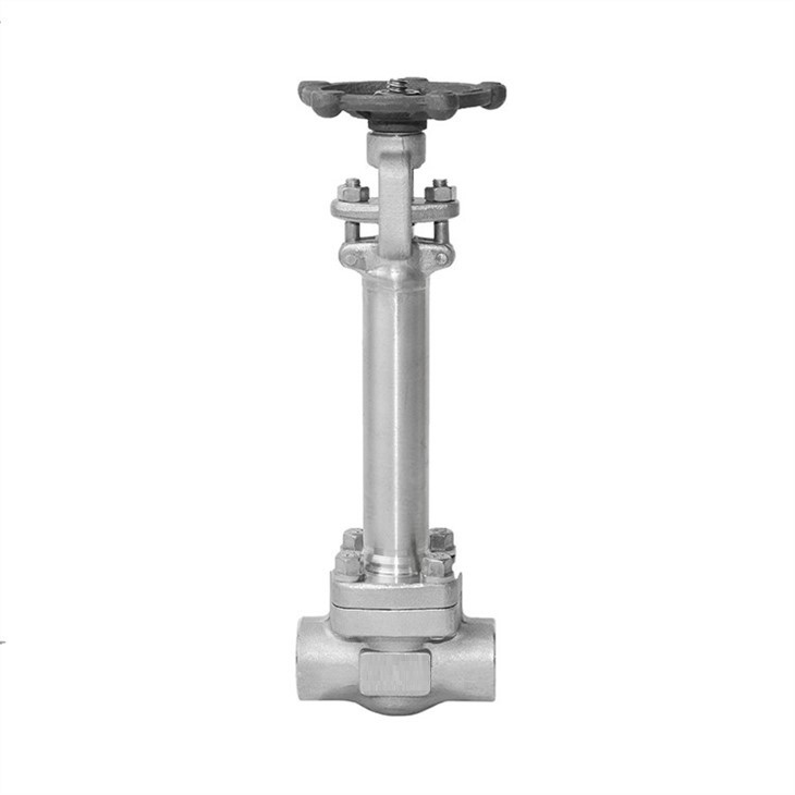 Forged Cryogenic SS304 Extended Stem Gate Valve Class 300