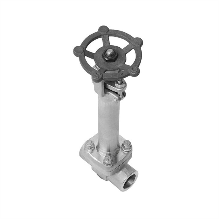 Forged Cryogenic SS304 Extended Stem Gate Valve Class 300