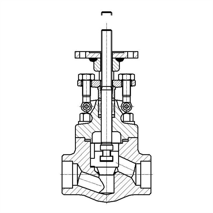 Forged Electric Globe Valve