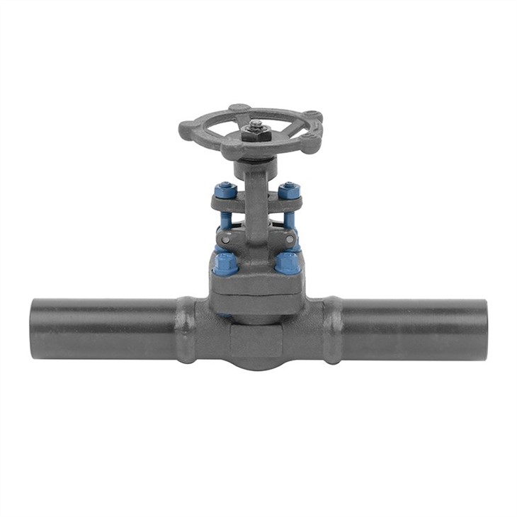 Forged Extended Bonnet Gate Valve