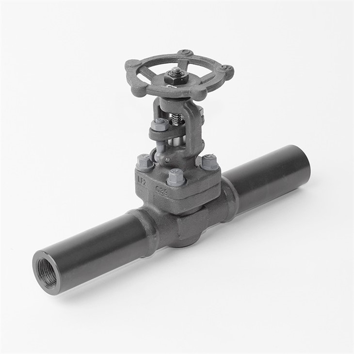 Forged Extended Bonnet Gate Valve