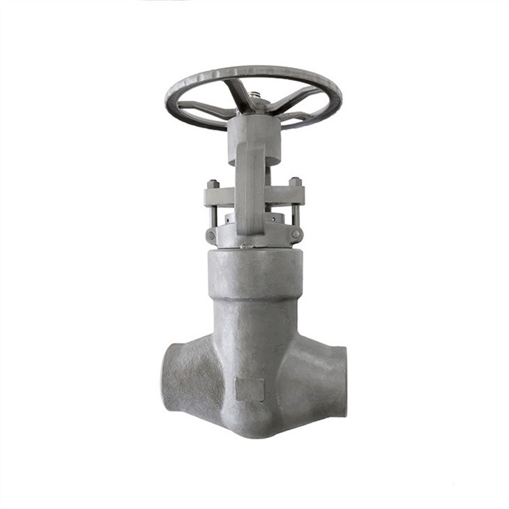 Forged High Pressure Self-sealing Gate Valve