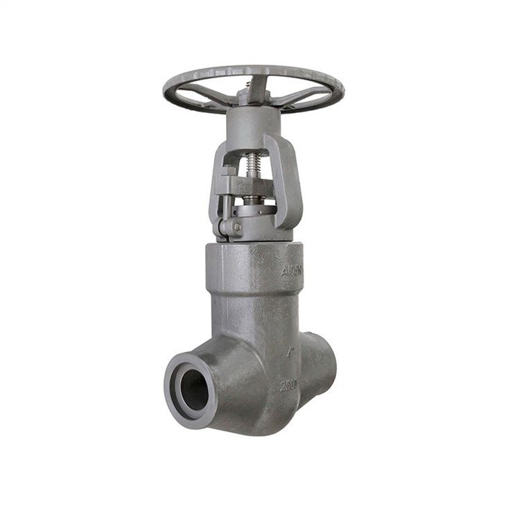 Forged High Pressure Self-sealing Gate Valve