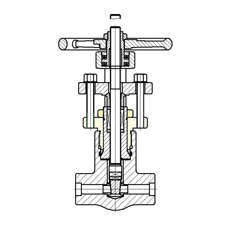 Forged High Pressure Self-sealing Gate Valve