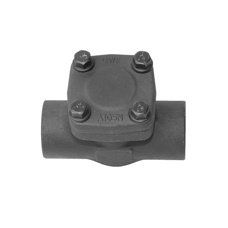 Forged Lift Check Valve Socket Weld 