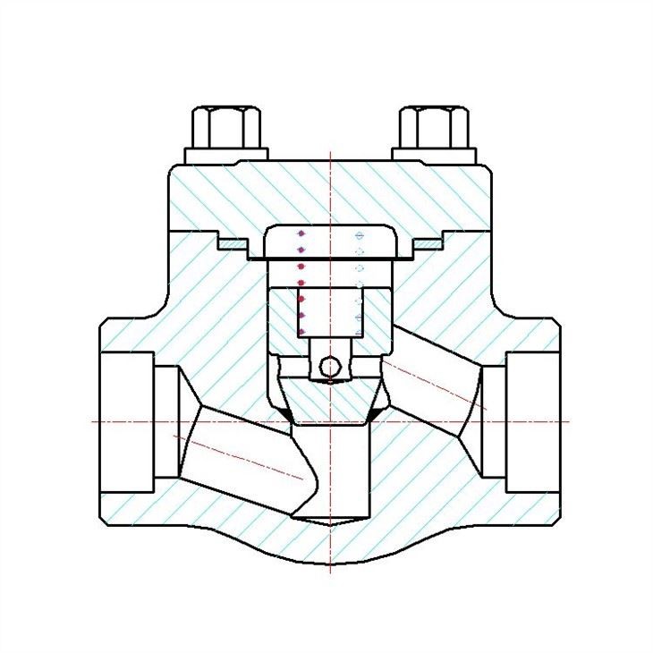 Forged Lift Check Valve Socket Weld 