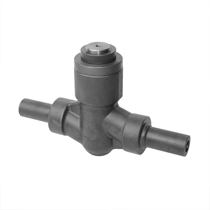 Forged Self-sealing Lift Check Valve With Nipple Both End