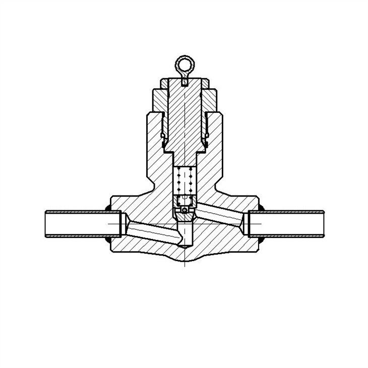 Forged Self-sealing Lift Check Valve With Nipple Both End