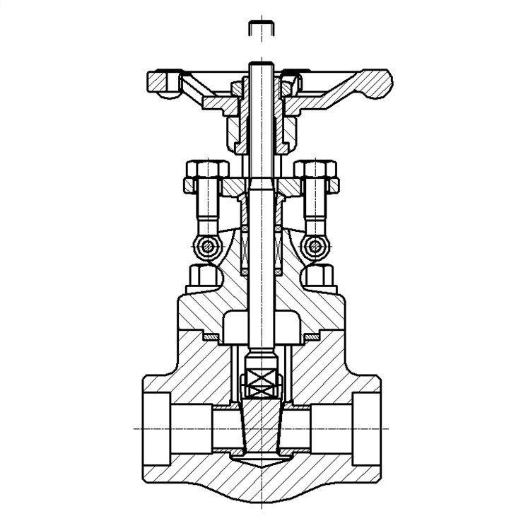 Forged Steel A105 Gate Valve SW Class 800