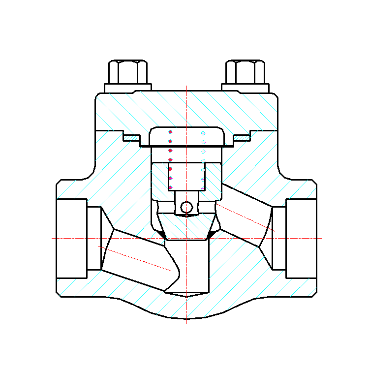 Forged Steel Bronze Check Valve