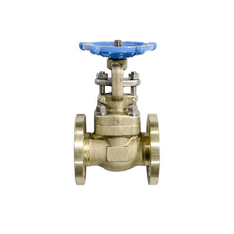 Forged Steel Bronze Gate Valve RF Class 150