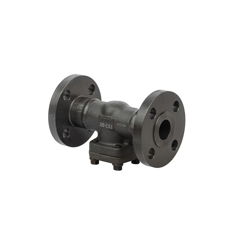 Forged Steel Check Valve