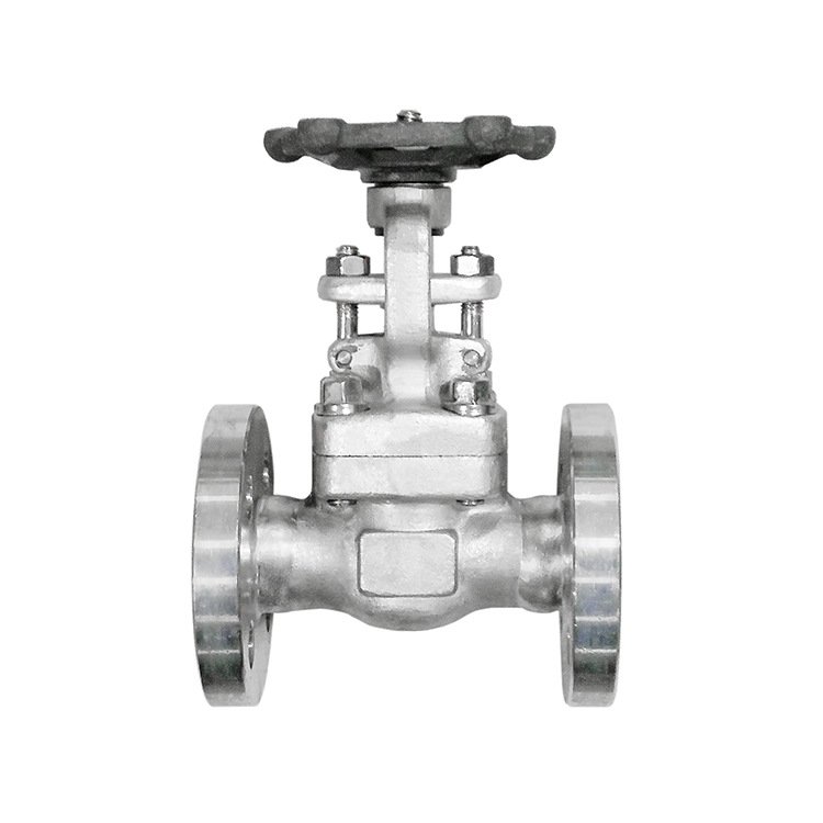 Forged Steel Gate Valve Welded Flange