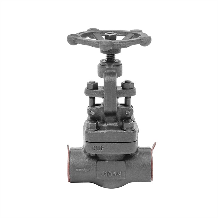 Forged Steel Globe Valve