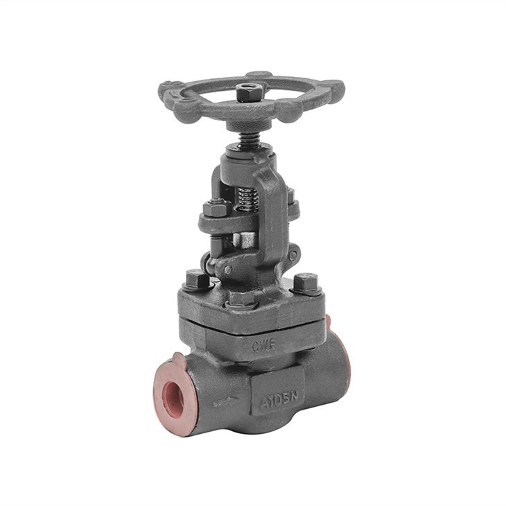 Forged Steel Globe Valve