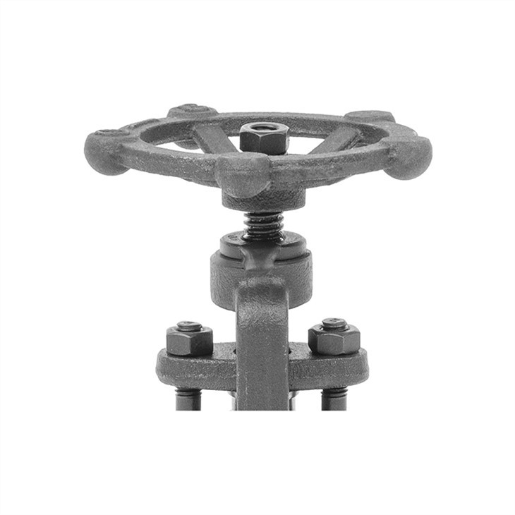 Forged Steel Globe Valve