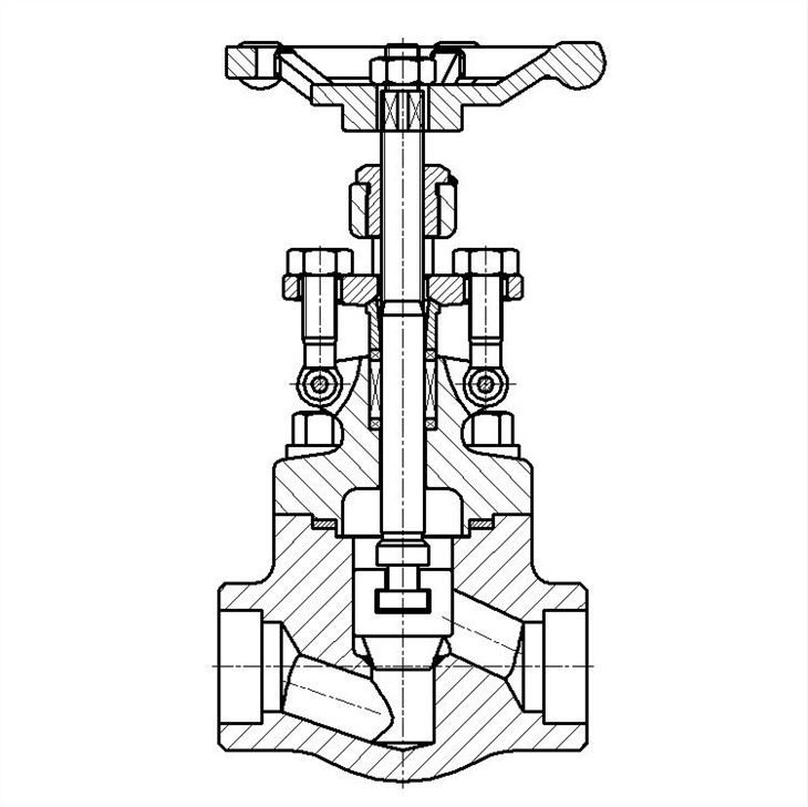 Forged Steel Globe Valve