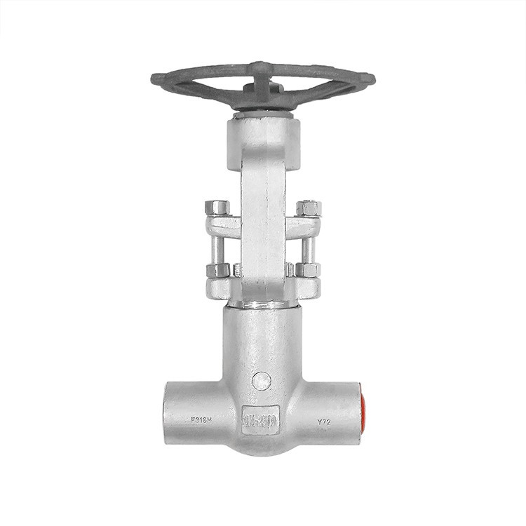 Forged Steel Pressure Seal Gate Valve Class 2500