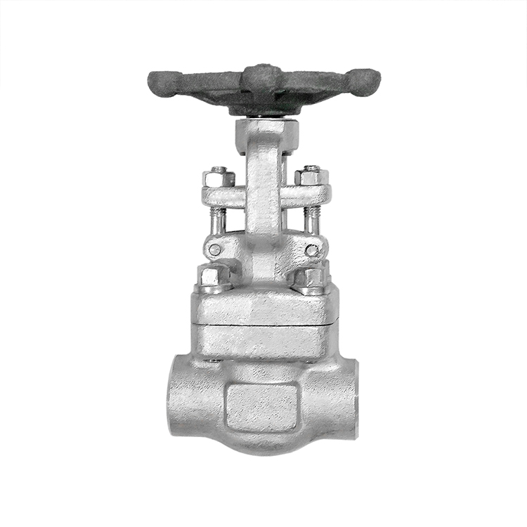 Forged Steel SS304 Gate Valve NPT Class 300