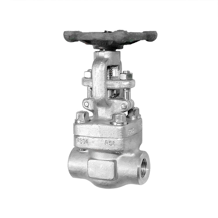 Forged Steel SS304 Gate Valve NPT Class 300