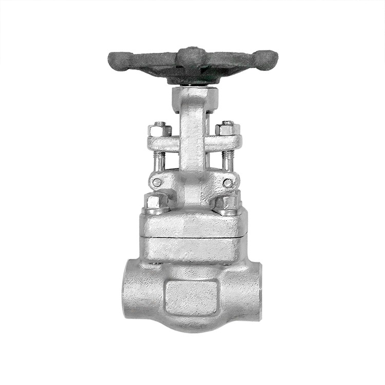 Forged Steel SS304 Gate Valve NPT Class 300