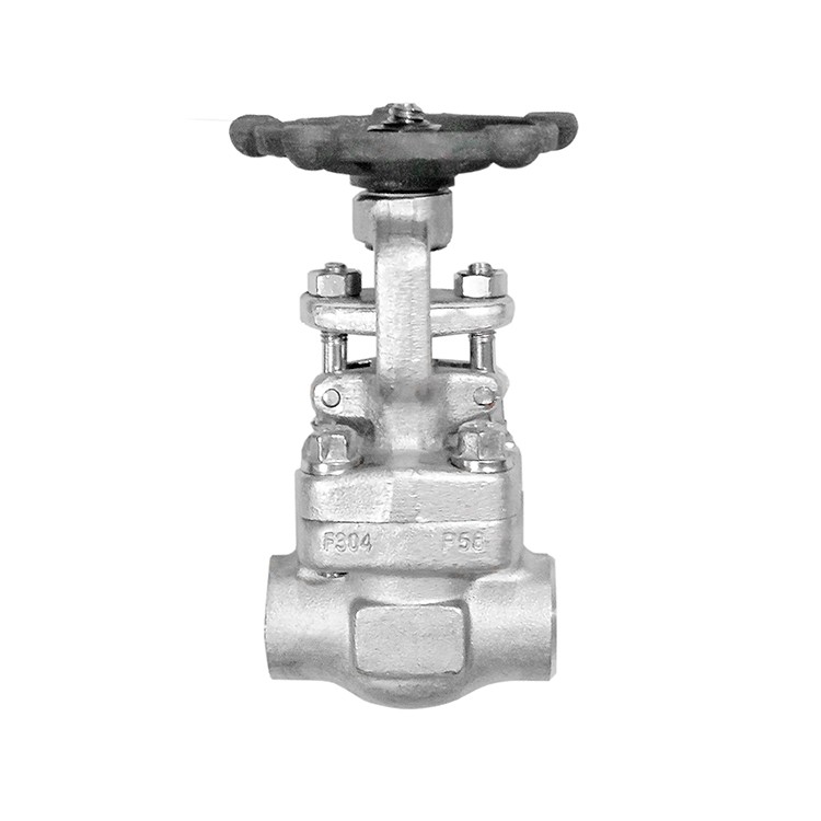 Forged Steel SS304 Gate Valve NPT Class 300