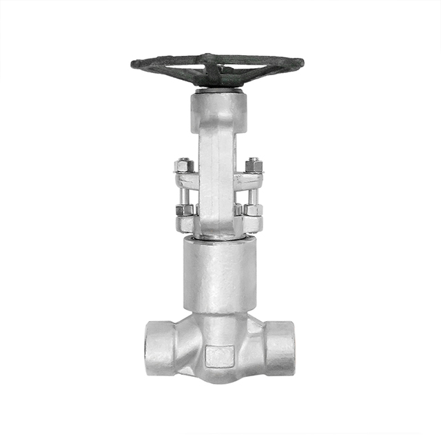 Forged Steel Self Sealing Globe Valve BW