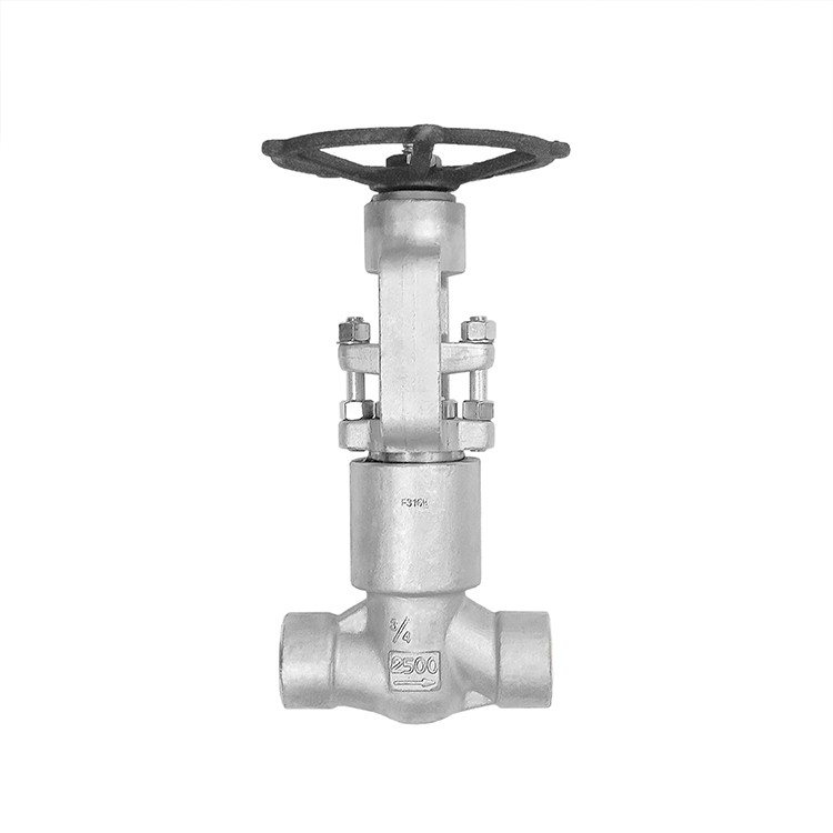 Forged Steel Self Sealing Globe Valve BW