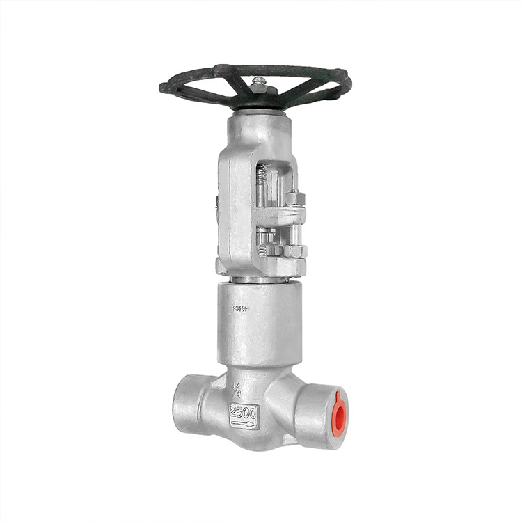 Forged Steel Self Sealing Globe Valve BW