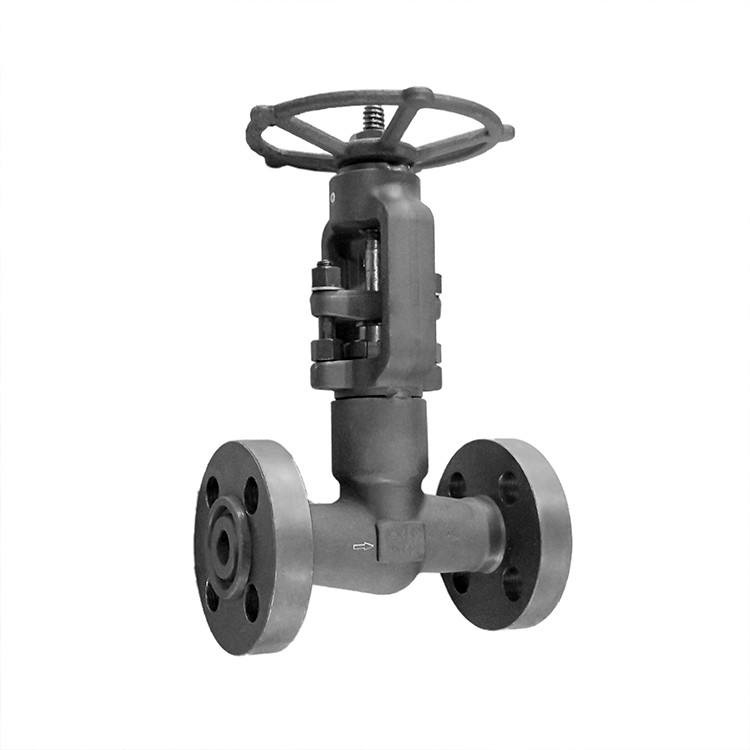 Forged Steel Self Sealing Globe Valve RF