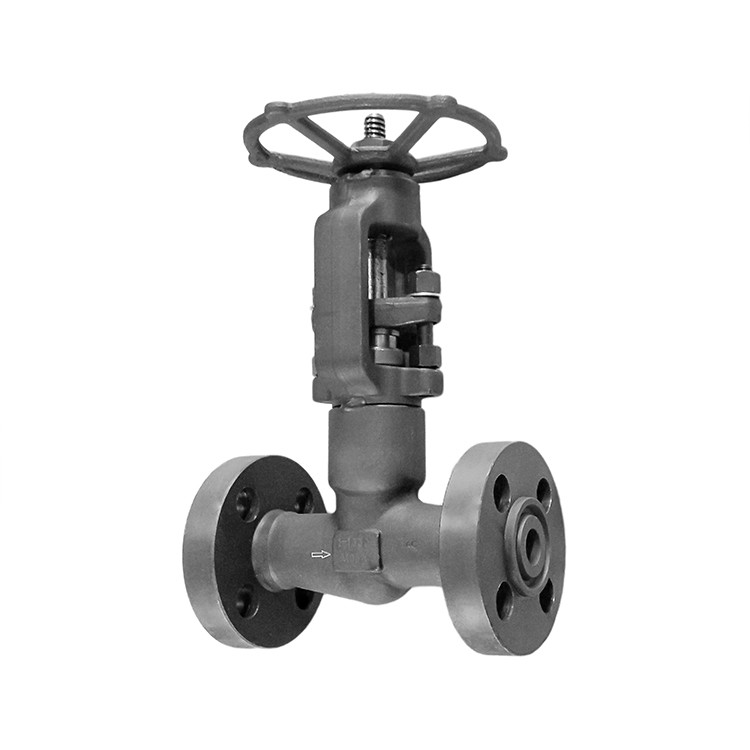 Forged Steel Self Sealing Globe Valve RF