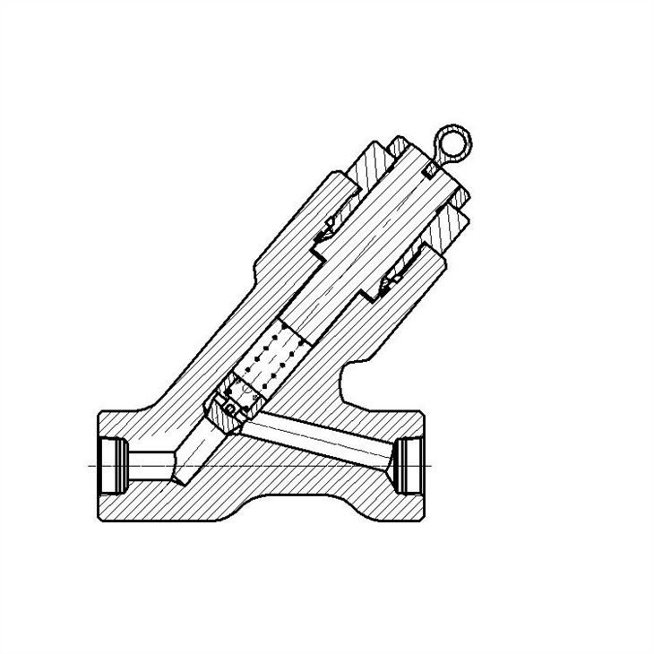 Pressure Seal Y Type Check Valves