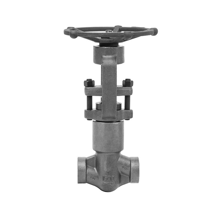 Self-sealing Socket Weld Globe Valve