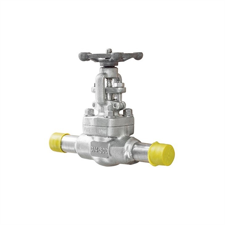 Stainless Steel Gate Valve With Extended Pipe