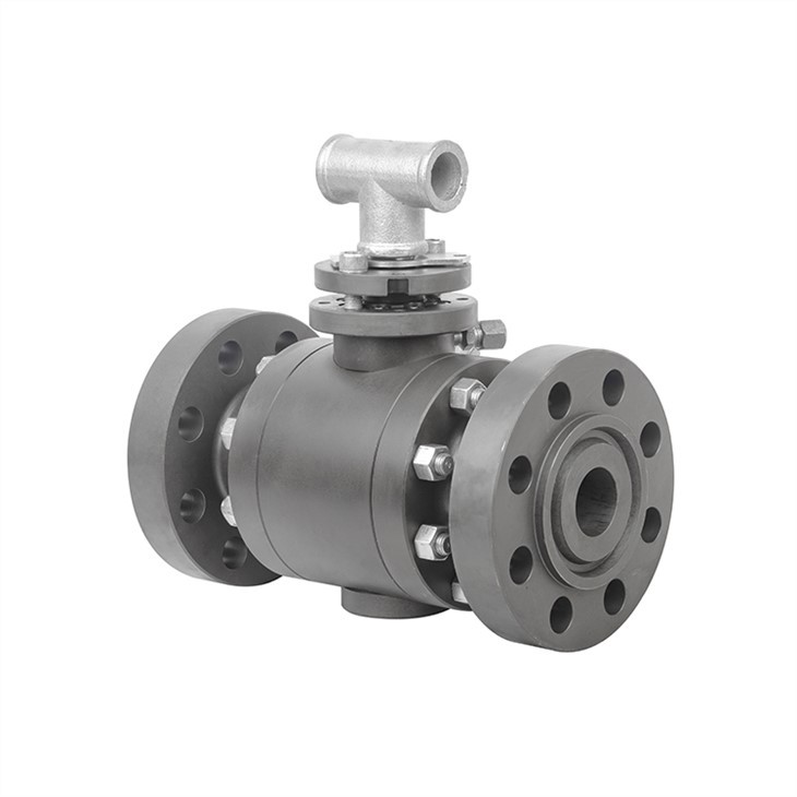 Turnnion Mounted Flanged Ball Valve