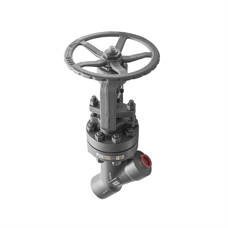 Y Type Bolted Bonnet Globe Valves