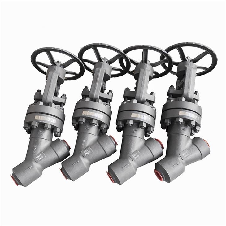 Y Type Bolted Bonnet Globe Valves