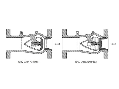 Structural principle and performance characteristics of axial flow check valve