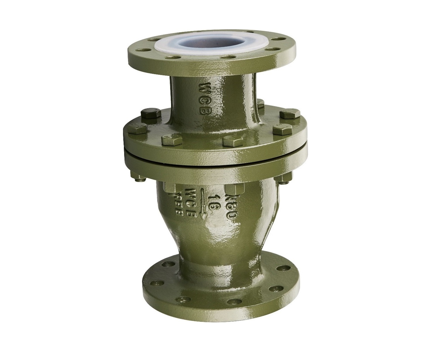 Application of Fluorine-lined Check Valve