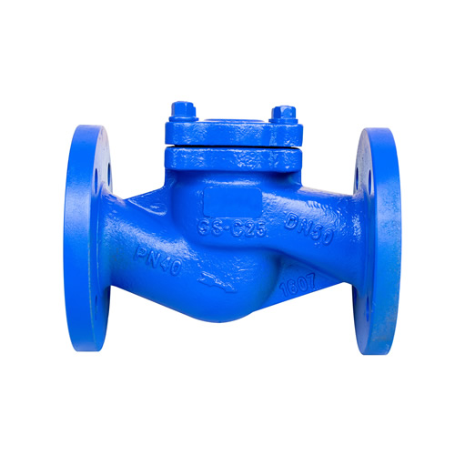 Bellow Seal Swing Check Valve