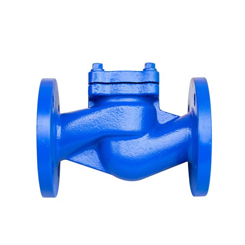 Bellow Seal Swing Check Valve